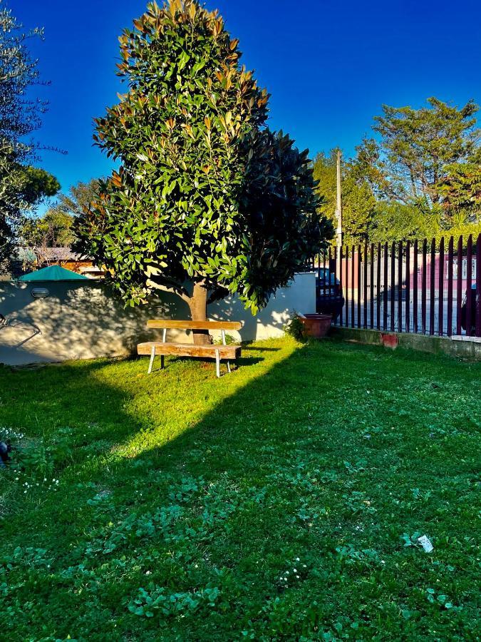 Il Casaletto Di Laura Bed & Breakfast